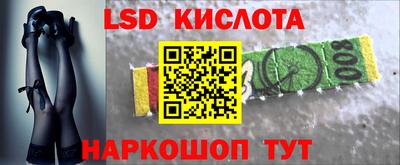 прущие грибы Можайск