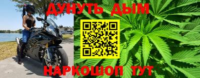 прущие грибы Можайск